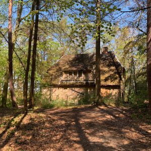 WhatsApp Image 2023-05-11 at 2.12.58 PM